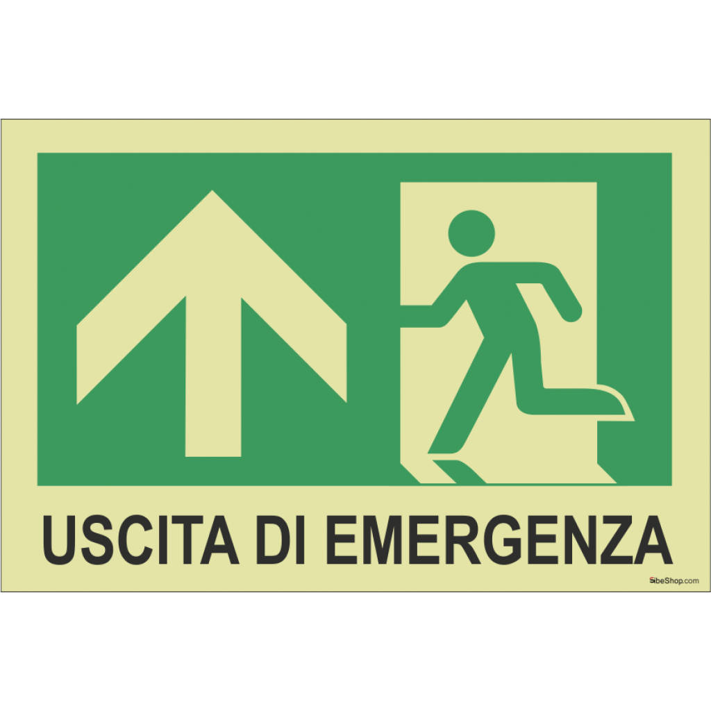 KIT Pittogramma "Uscita in alto" + Luce emergenza 3W