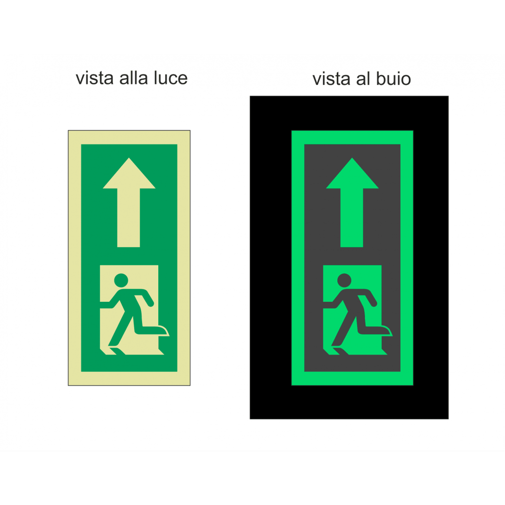 Signshine Suspension Rettangolo - Segnaletica Uscita Di Sicurezza Fotoluminescente A Soffitto In Varie Misure E Simboli